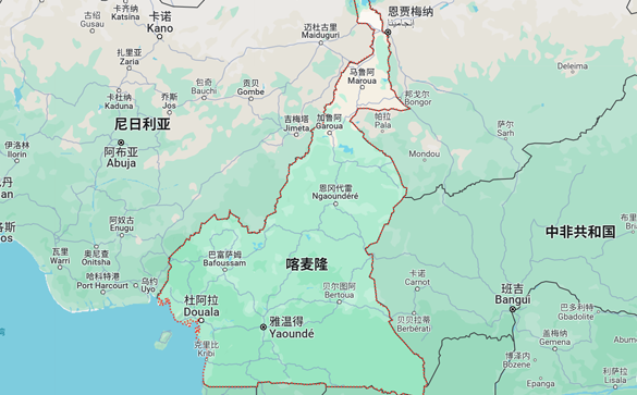 喀麦隆进口数据