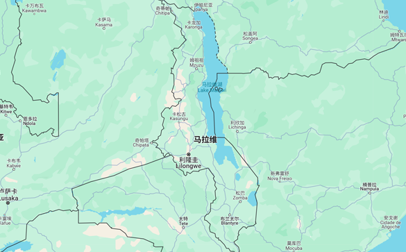 马拉维进口数据